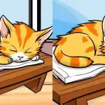 Μόνο οι πιο προσεκτικοί θα βρουν 3 διαφορές από την εικόνα μιας γάτας σε 12 δευτερόλεπτα: ένα δύσκολο παζλ. Μόνο οι πιο προσεκτικοί θα βρουν 3 διαφορές από την