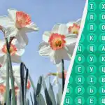 Το 98% των ανθρώπων δεν μπορούν να βρουν τη λέξη