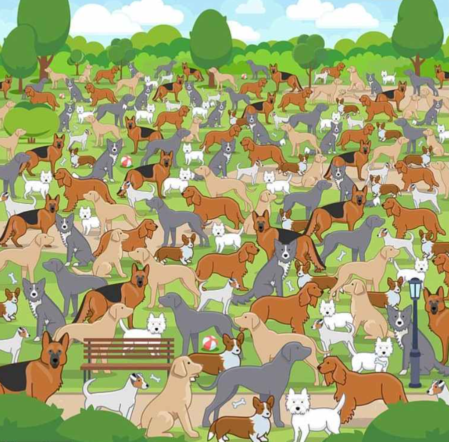 Φωτογραφία Jagranjosh