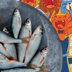 Ανάγκη να βρείτε ψάρια ανάμεσα σε γάτες: ένα διασκεδαστικό παζλ