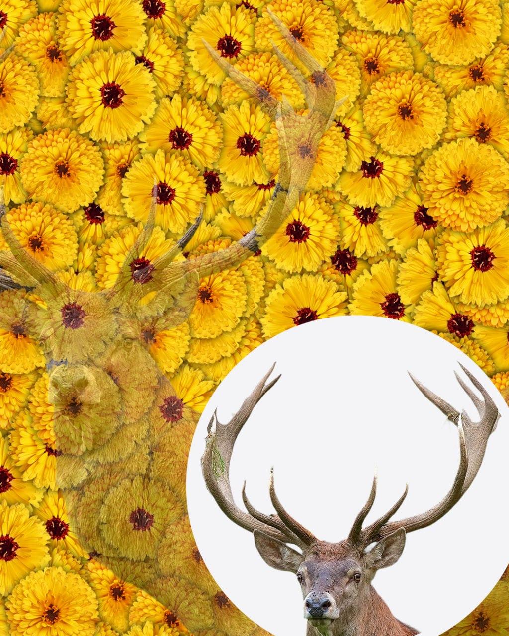 Μόνο 1 στους 10 ανθρώπους θα βρει το ελάφι στην εικόνα σε 7 δευτερόλεπτα: μια πολύ σύνθετη οπτική ψευδαίσθηση