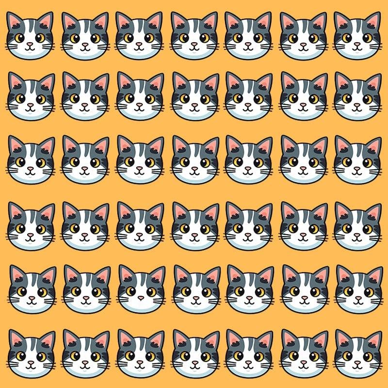 Αυτή η οπτική ψευδαίσθηση είναι δυνατή μόνο για ανθρώπους με μεγαλειώδες IQ / εικόνα Moje