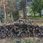 Ένα παζλ για τους πιο χαρούμενους και πολυμήχανους: πρέπει να