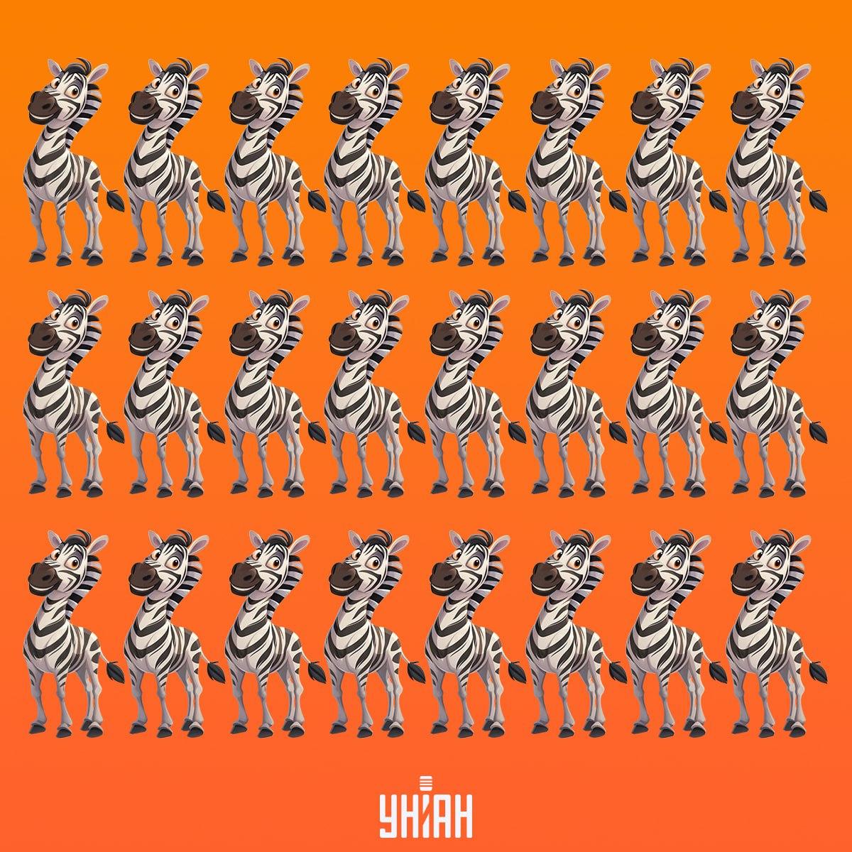 Ήρθε η ώρα να βρείτε μια ζέβρα που δεν είναι σαν τις άλλες / Κολάζ Moje