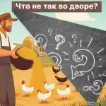 Πρέπει να βρείτε ένα μεγάλο λάθος σε μια αυλή σε