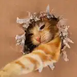 Πόσο ιδιοφυής είναι η γάτα σας: ένα εύκολο τεστ IQ