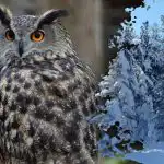 Ένας περίπλοκος γρίφος για ιδιοφυΐες: μόνο οι πιο προσεκτικοί θα