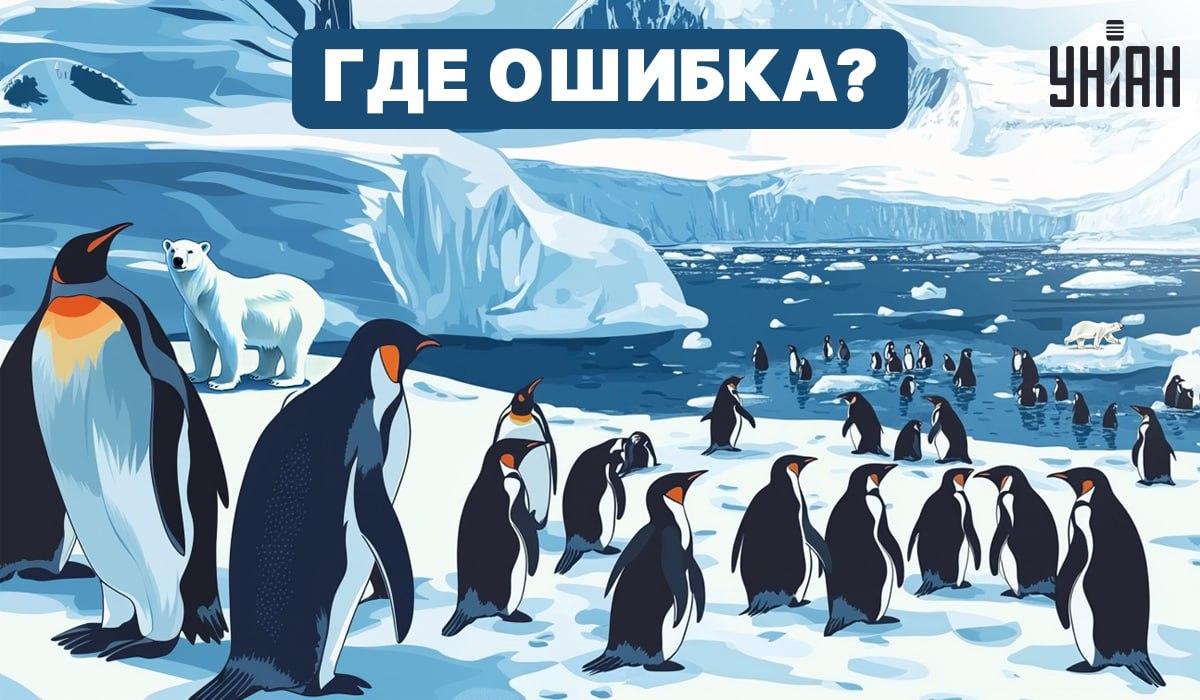 Μπορείτε να βρείτε τι είναι λάθος στην εικόνα; / Moje