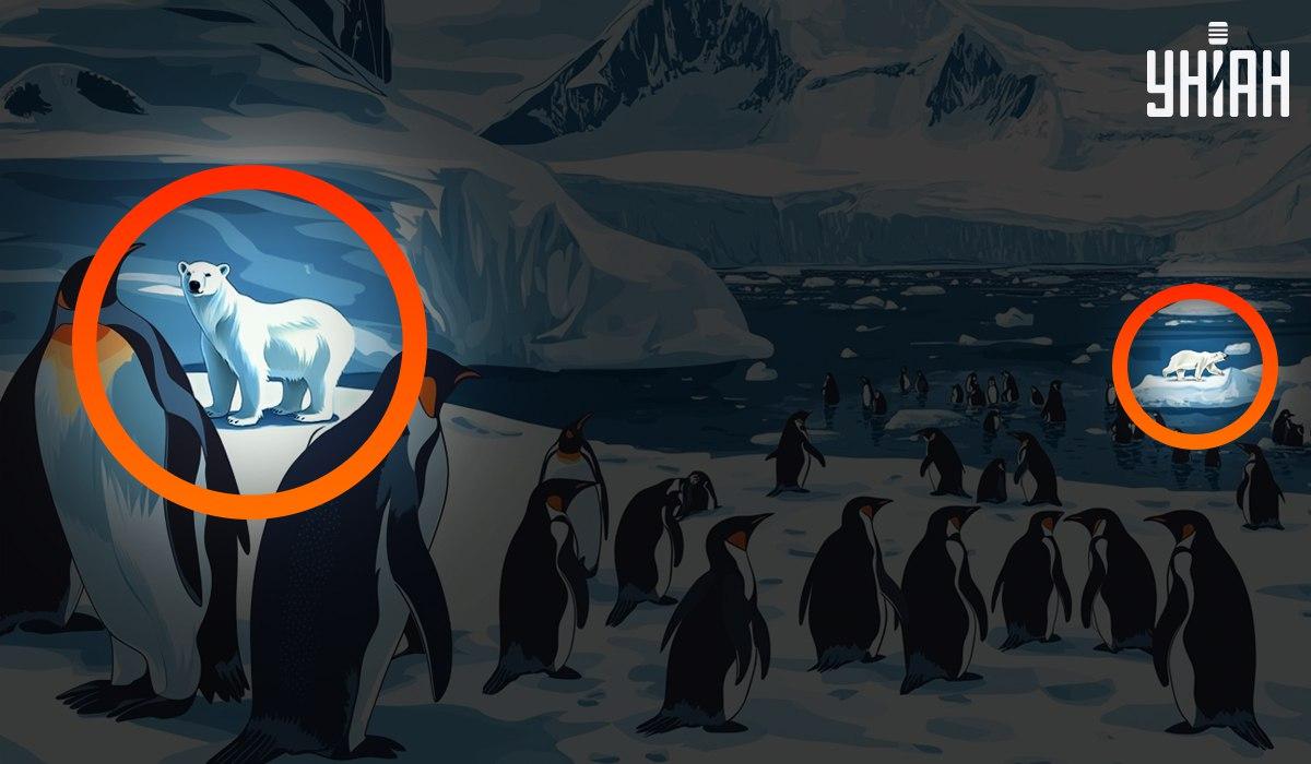 Απάντηση / Moje