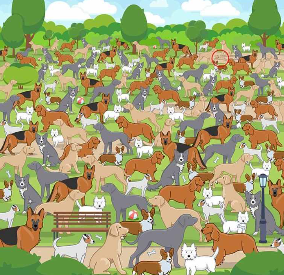 Φωτογραφία Jagranjosh